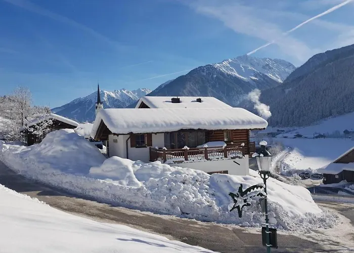 Schoeneben Zwillinger Huette Tatil Evi Wald im Pinzgau